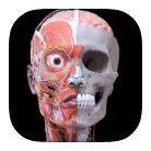 【实用软件】解剖学三维图谱高级版3D人体解剖学习工具 【实用软件】解剖学三维图谱高级版3D人体解剖学习工具